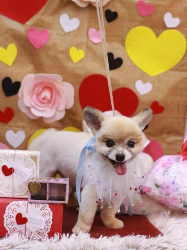 20230210エルくん